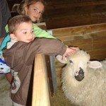 Le paradis des Marmots… 100614-center-parcs-053