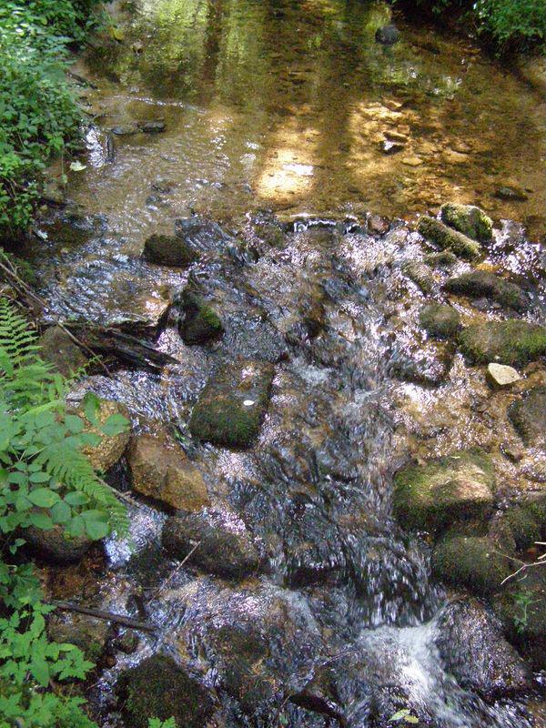 Eaux (Jean-Baptiste Besnard)