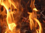 Près (Jean-Baptiste Besnard)