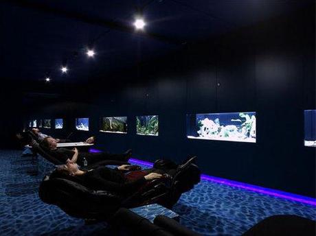 google bureaux locaux 23 Découvrez les locaux de Google en 28 photos