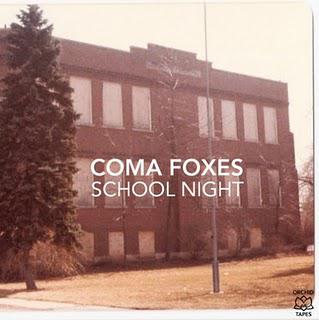Coma Foxes – School Night