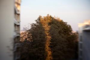 Essai Lensbaby 4/5 : les accessoires