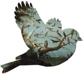 What’s new ? [jeudi 9 septembre 2010, 8 h 40]