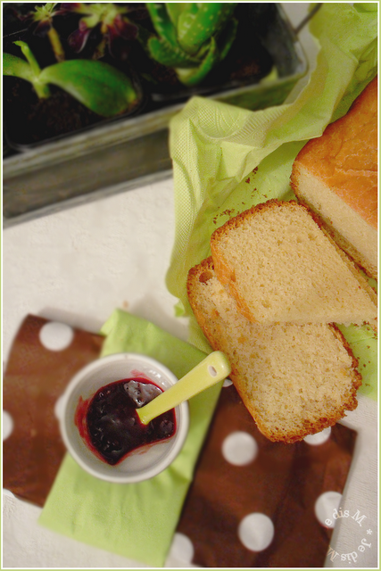 Test n°1 avec mon nouveau joujou