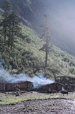 Des cimes, des forêts, le déluge et des hommes (Vallée du Nujiang, 3/?)