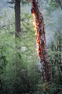 Des cimes, des forêts, le déluge et des hommes (Vallée du Nujiang, 3/?)