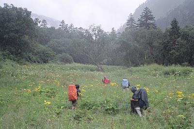 Des cimes, des forêts, le déluge et des hommes (Vallée du Nujiang, 3/?)