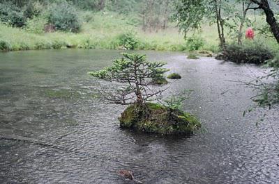 Des cimes, des forêts, le déluge et des hommes (Vallée du Nujiang, 3/?)
