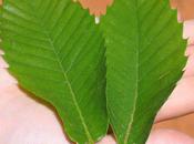 Ooooooooooooh, Patricia !!!!