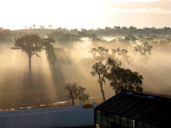 La brume (Jean-Baptiste Besnard)