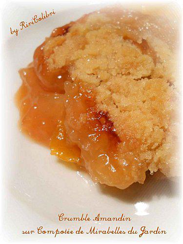 crumble-amandin-mirabelle-t.jpg