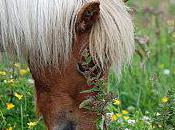 L’Enfant d’E. Schmitt (2/3)