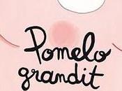 Pomelo grandit