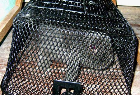 MON PETIT GLOBE TROTTEUR S'EN EST ALLE