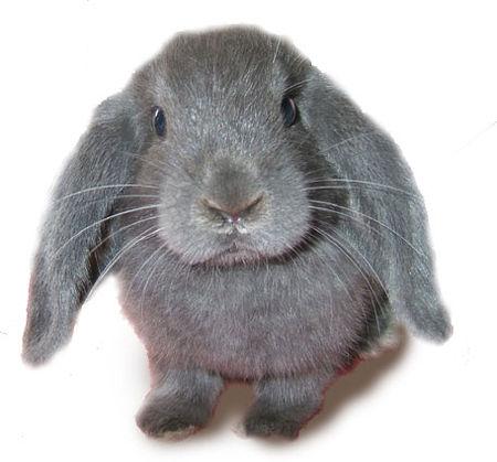 MON PETIT GLOBE TROTTEUR S'EN EST ALLE