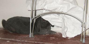 MON PETIT GLOBE TROTTEUR S'EN EST ALLE