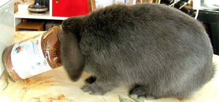 MON PETIT GLOBE TROTTEUR S'EN EST ALLE