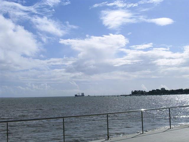 C'EST ASSEZ DIT LA BALEINE...