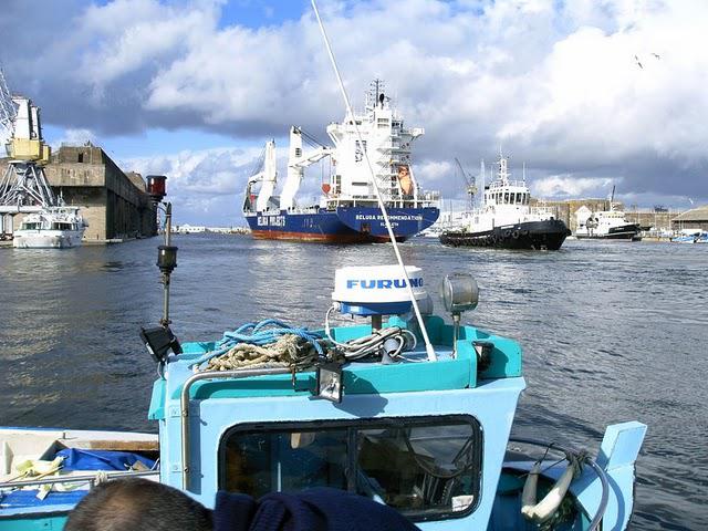 C'EST ASSEZ DIT LA BALEINE...