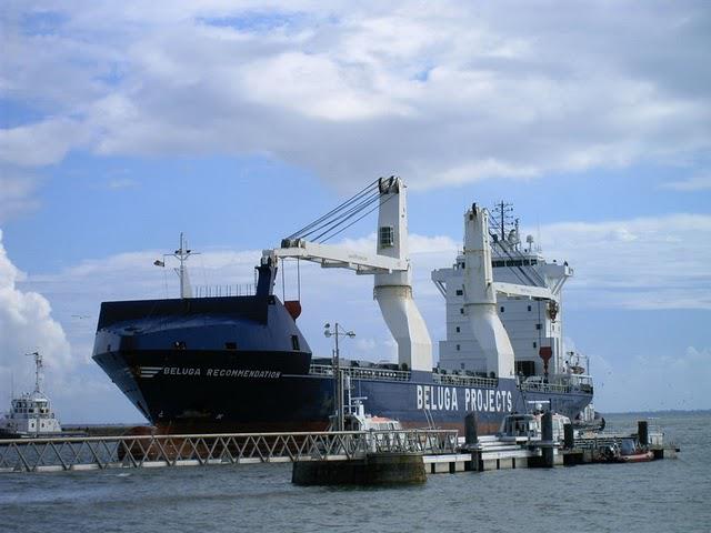 C'EST ASSEZ DIT LA BALEINE...