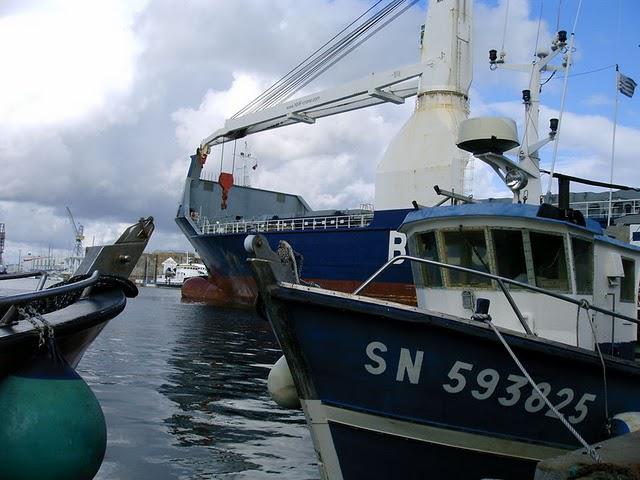 C'EST ASSEZ DIT LA BALEINE...