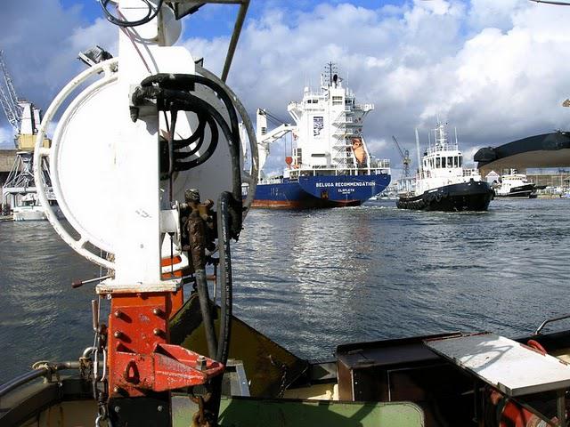 C'EST ASSEZ DIT LA BALEINE...