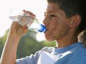 S’hydrater pour bien travailler