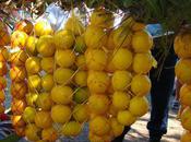 Oranges fête Tahiti