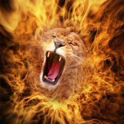 Il n’y a pas à fuir (André Velter)