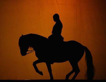 D’un seul élan (André Velter)