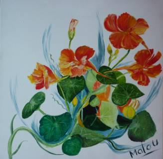 Les capucines (Katell Antoine)