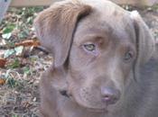 Nouvelle merveille dans jardin