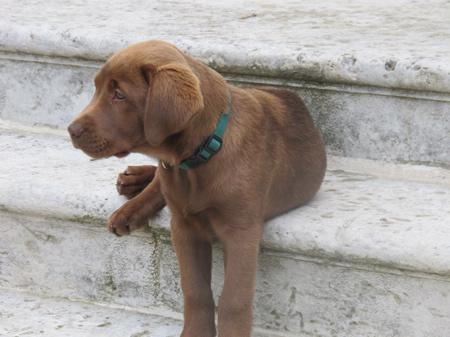 Nouvelle merveille dans mon jardin