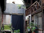 Petit déjeuner Shake