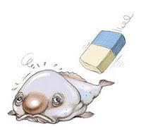 Lectures bloguesques (de la semaine 37-2010)