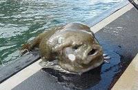 Lectures bloguesques (de la semaine 37-2010)