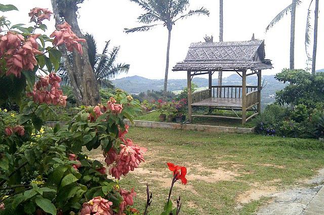 HTC Desire : le must actuel en matière d'ordiphones