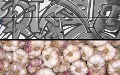 Rencontres magnifiques