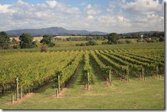 vins-du-quebec-route-des-vins-vignobles