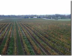 photos_reportage_images4