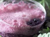 Smoothie Expédition Cueillette Mûres Orties