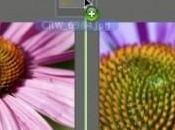 Astuce Référencer photos d’un Glisser/Déposer dans Aperture