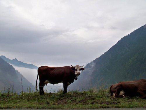 73270 Lac de Roselend