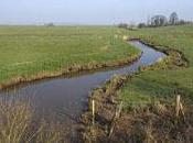 Trame verte bleue publication documents préparatoires