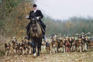 Woerth : chasses présidentielles ?