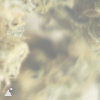 104741190-1 FREE BEAT TIME : AFTA1 – Fragrant Clouds