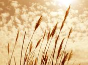 poème (Christian Silva)