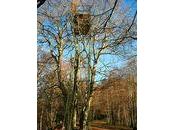 Brannens comme ailleurs, paloumayres ramassent pelle