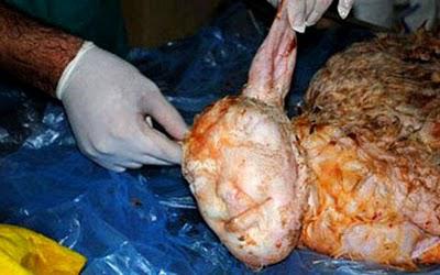 Turkish DelightSupposez que vous puissiez marquer d’une f...