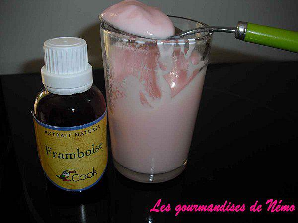 yaourt-framboises.JPG